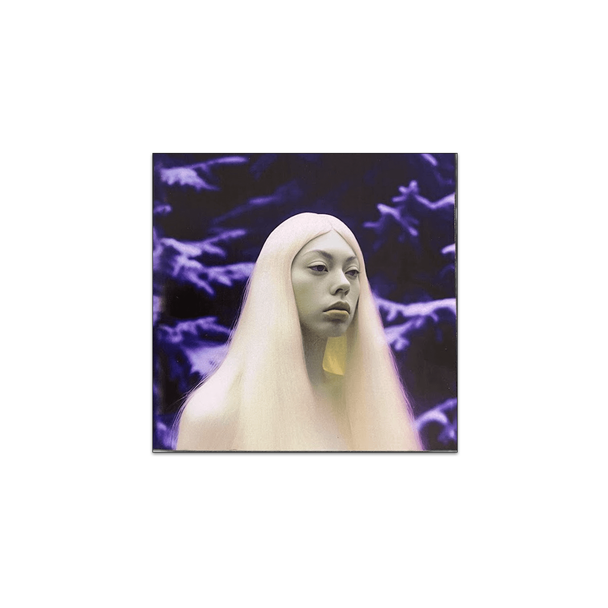 Nostalgia-Verse CD